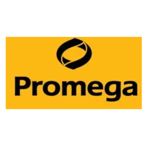 untitled design (14)